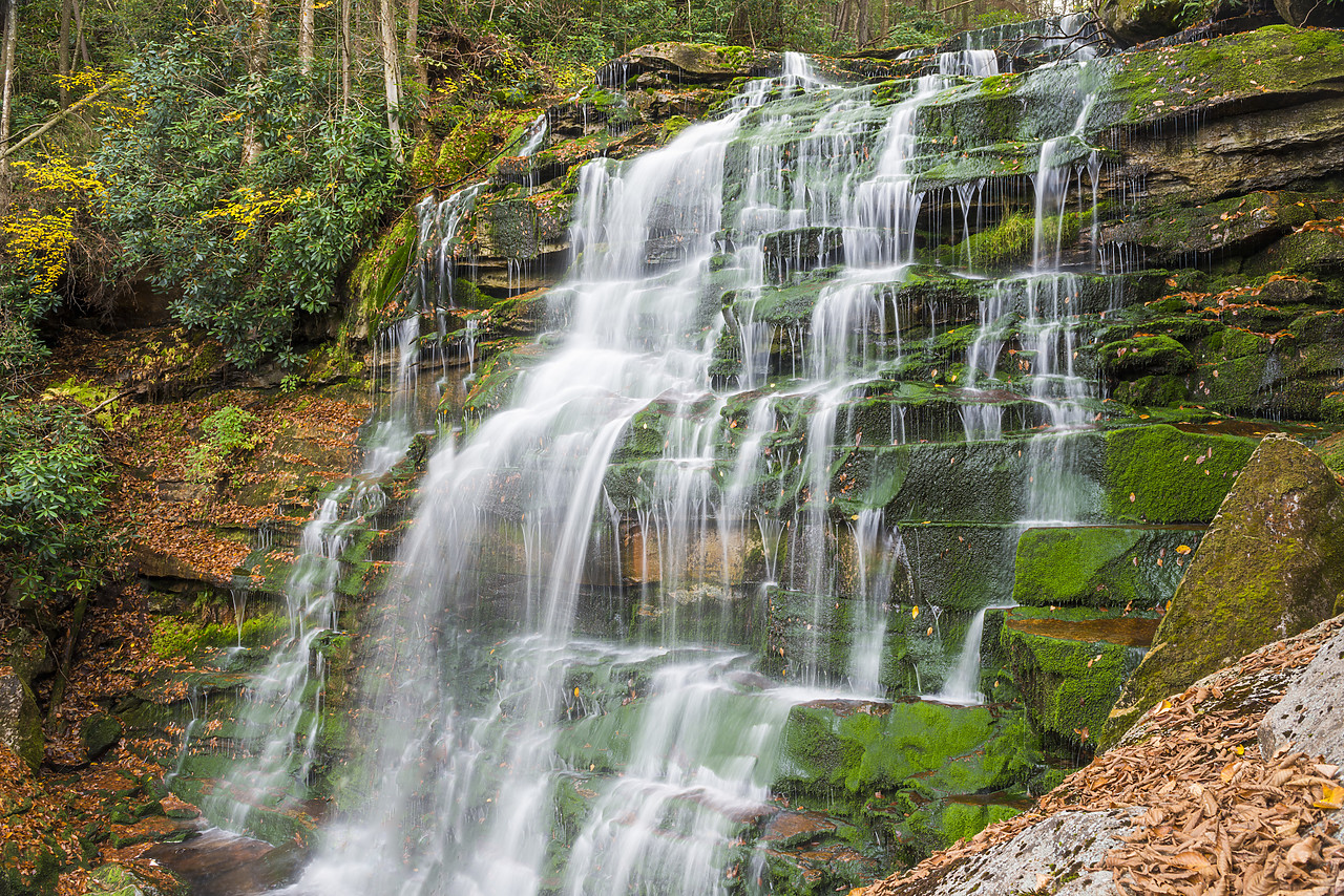 #130359-1 - Elakala Falls, Blackwater Falls State Park, West Virginia, USA