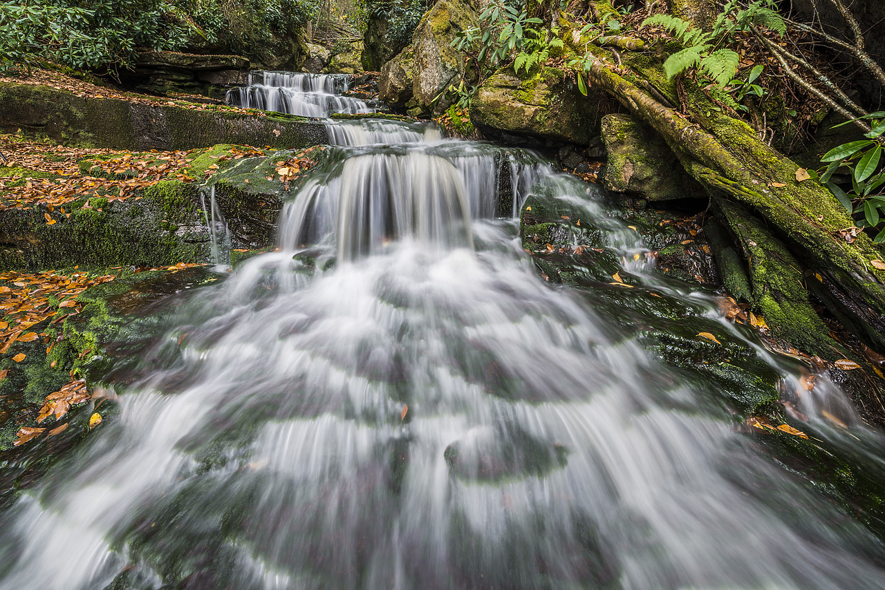 #130360-1 - Elakala Falls, Blackwater Falls State Park, West Virginia, USA