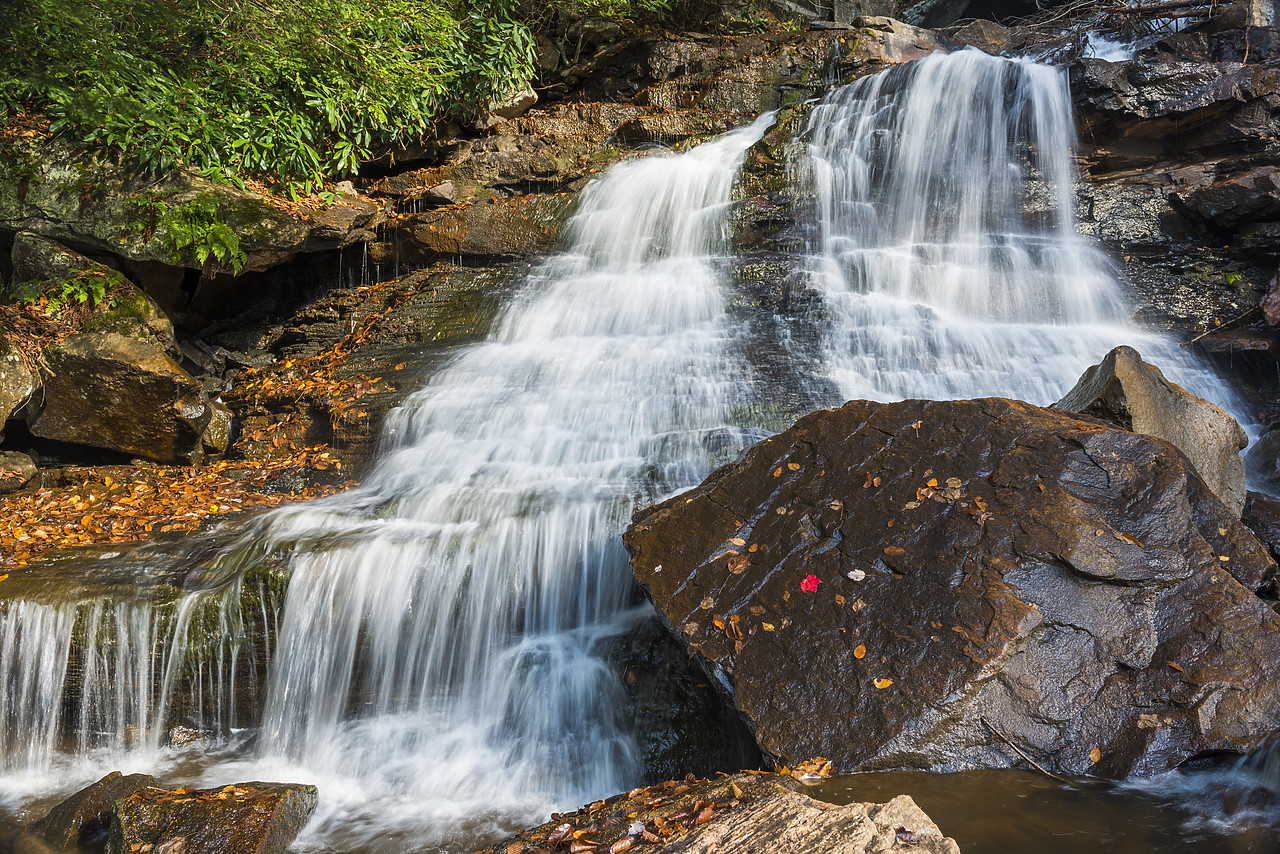 #130361-1 - Pendleton Falls, Blackwater Falls State Park, West Virginia, USA