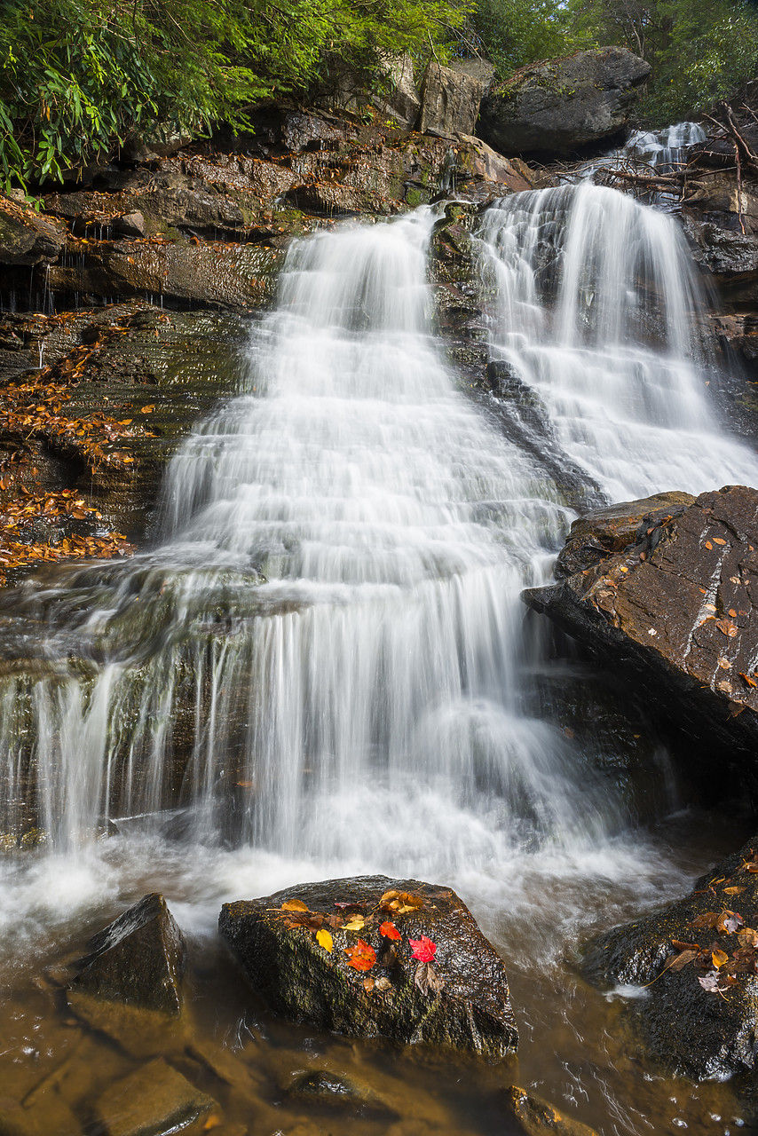 #130362-1 - Pendleton Falls, Blackwater Falls State Park, West Virginia, USA