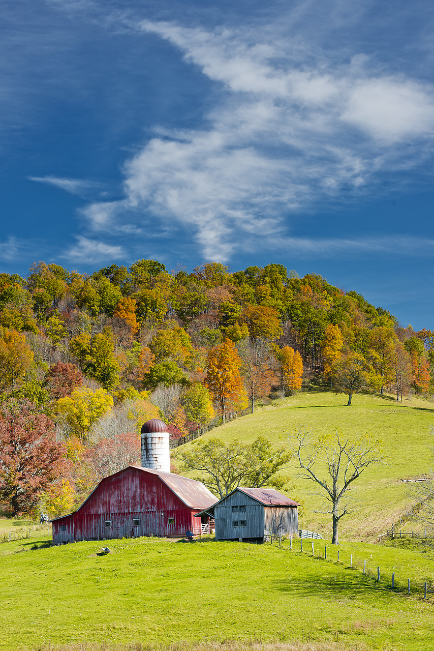 #130365-2 - Red Barn in Autumn, Virginia, USA