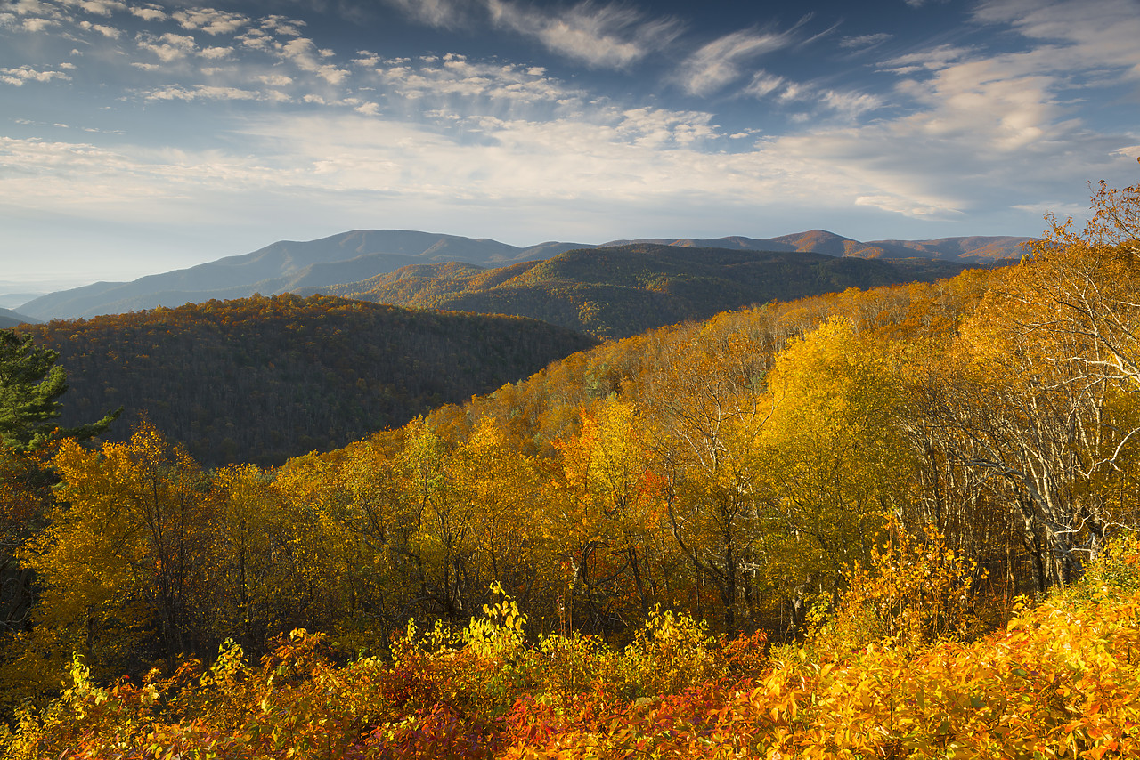 #130369-1 - Blue Ridge Mountains in Autumn, Shenandoah National Park, Virginia, USA