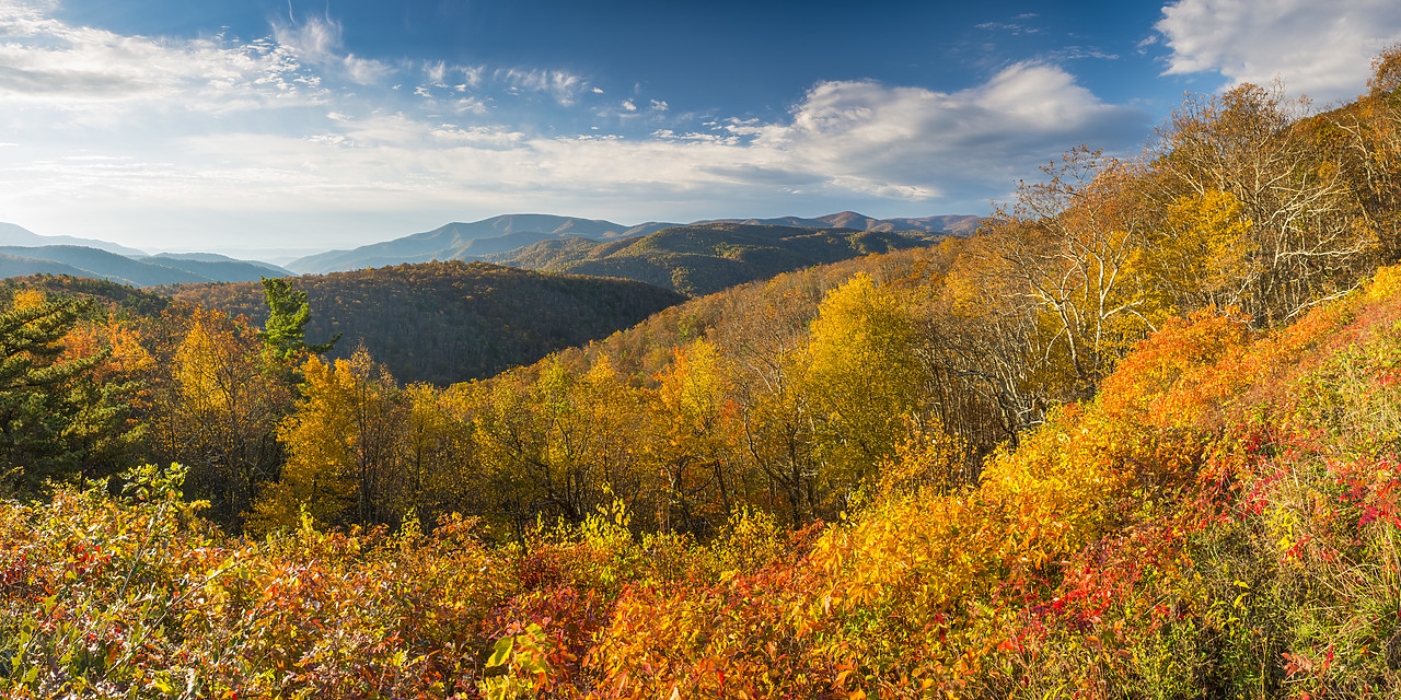 #130370-1 - Blue Ridge Mountains in Autumn, Shenandoah National Park, Virginia, USA