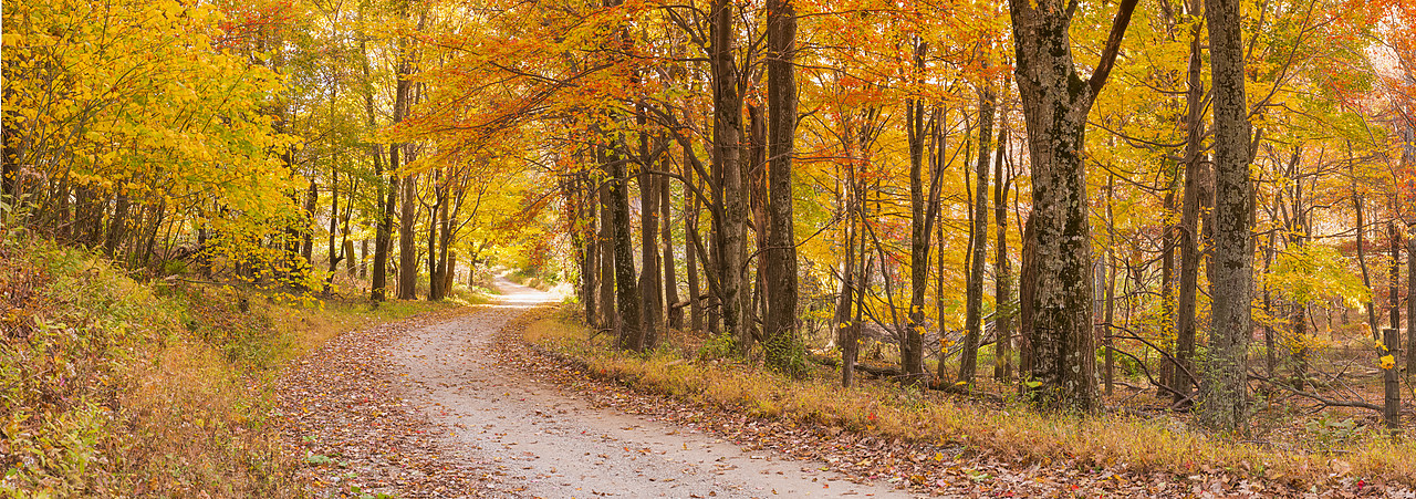 #130371-2 - Country Lane in Autumn, Shenandoah National Park, Virginia, USA