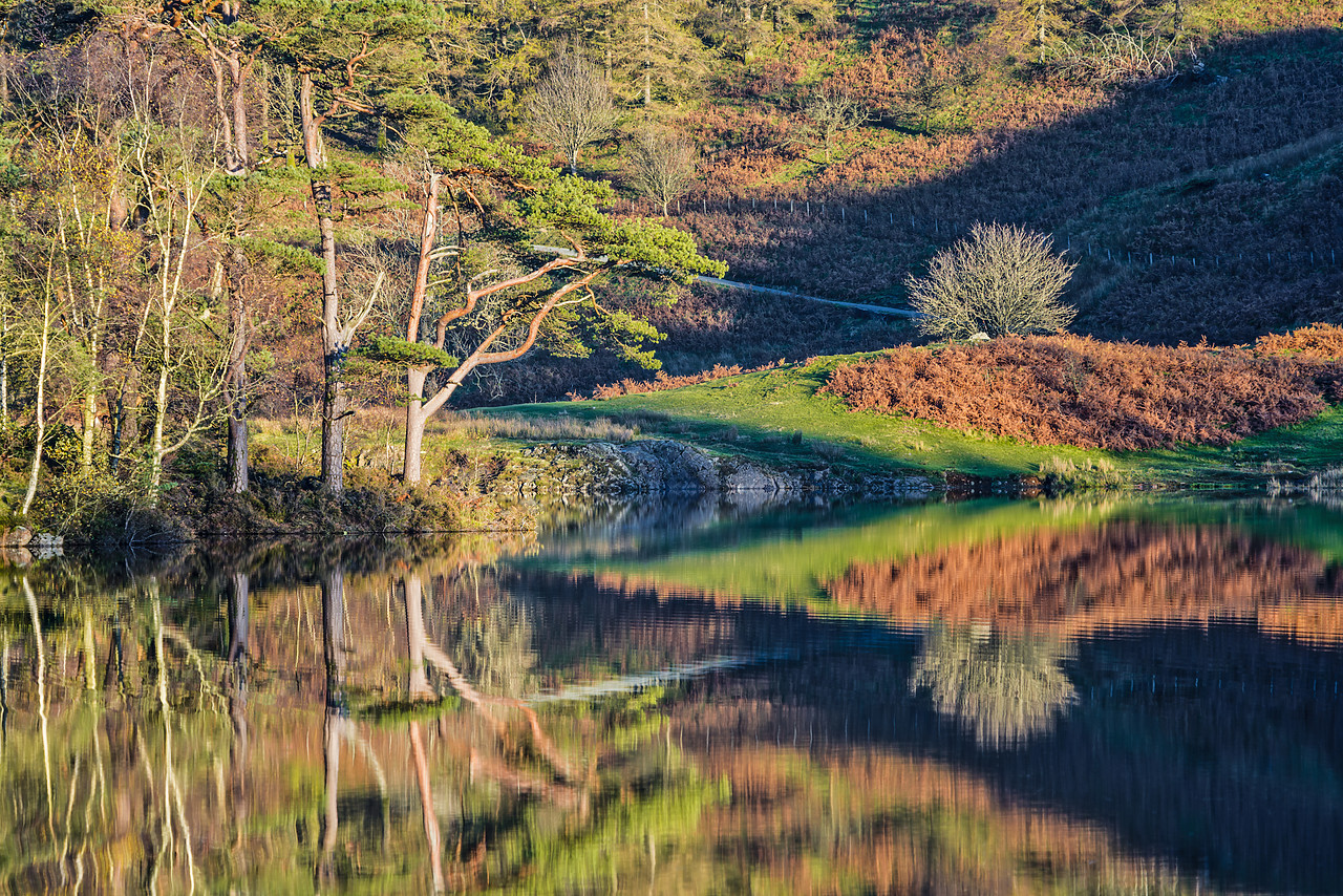 #130388-1 - Tarn How Reflections in Autumn, Lake District National Park, Cumbria, England