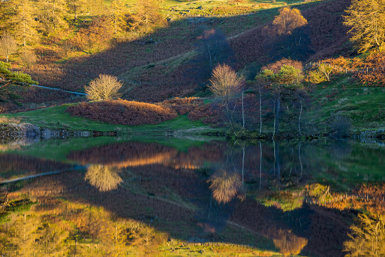#130389-1 - Tarn How Reflections in Autumn, Lake District National Park, Cumbria, England