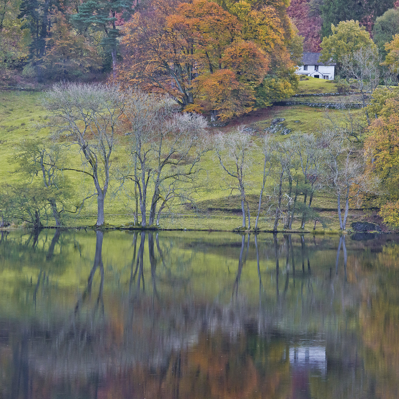 #130394-1 - Cottage Reflecting in Loughrigg Tarn in Autumn, Lake District National Park, Cumbria, England