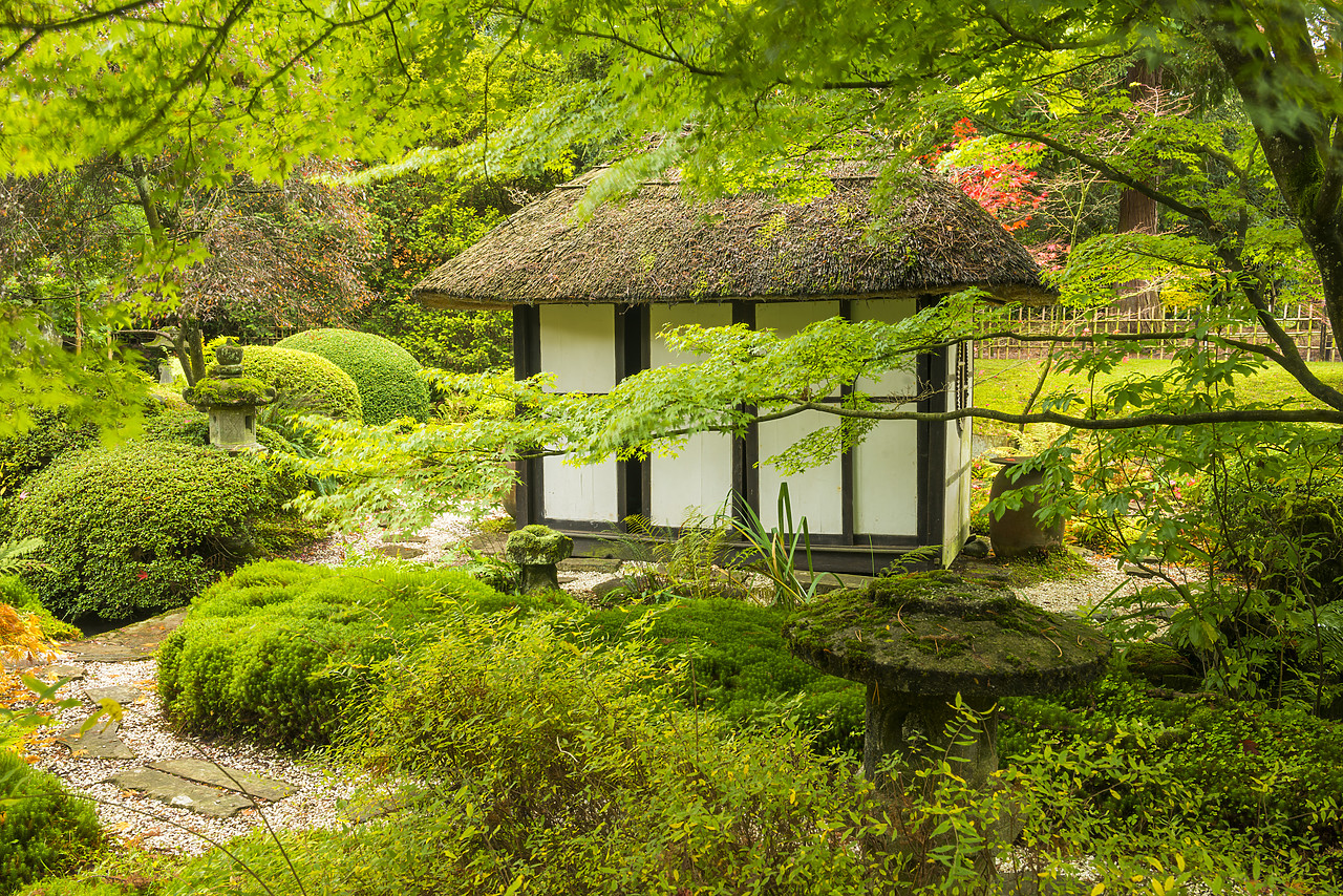 #130414-1 - Thatched Tea House in Japanese Garden, Tatton Park, Cheshire, England