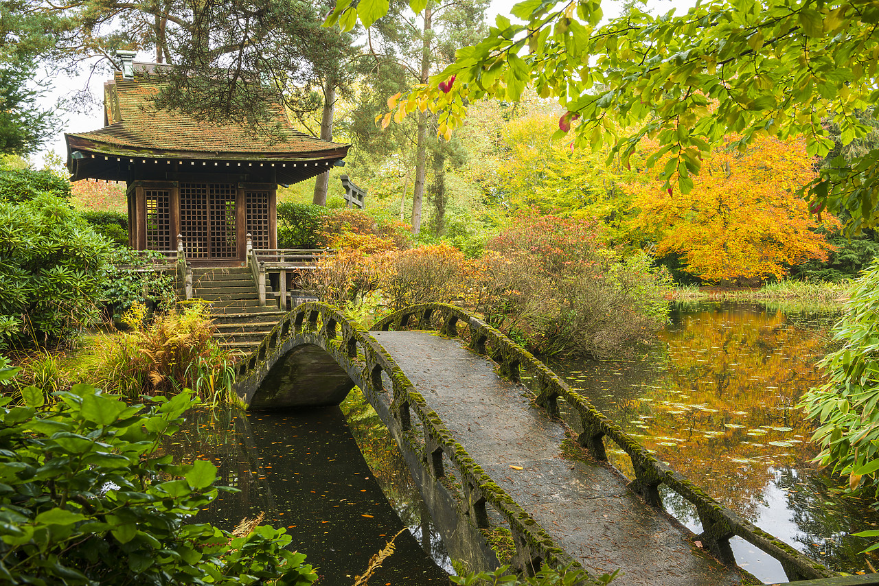 #130418-1 - Shinto Shrine & Bridge, Tatton Park, Cheshire, England