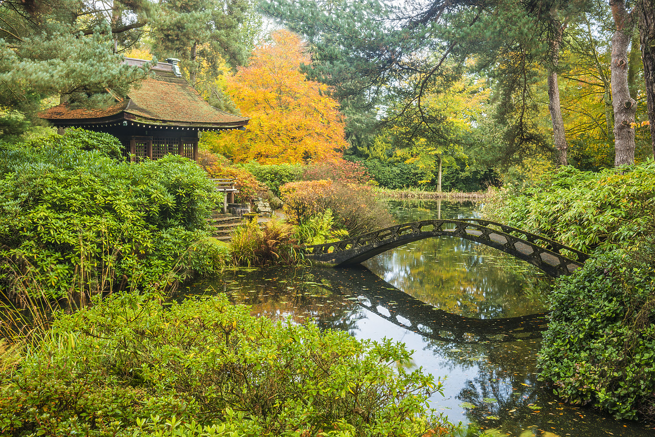#130419-1 - Shinto Shrine & Bridge, Tatton Park, Cheshire, England