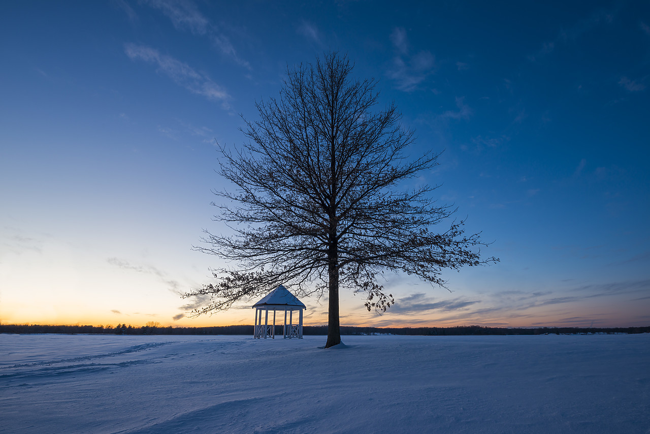 #140076-1 - Tree & Gazebo in Winter Twilight, Stony Creek Metropolitan Park, Shelby Township, Michigan, USA