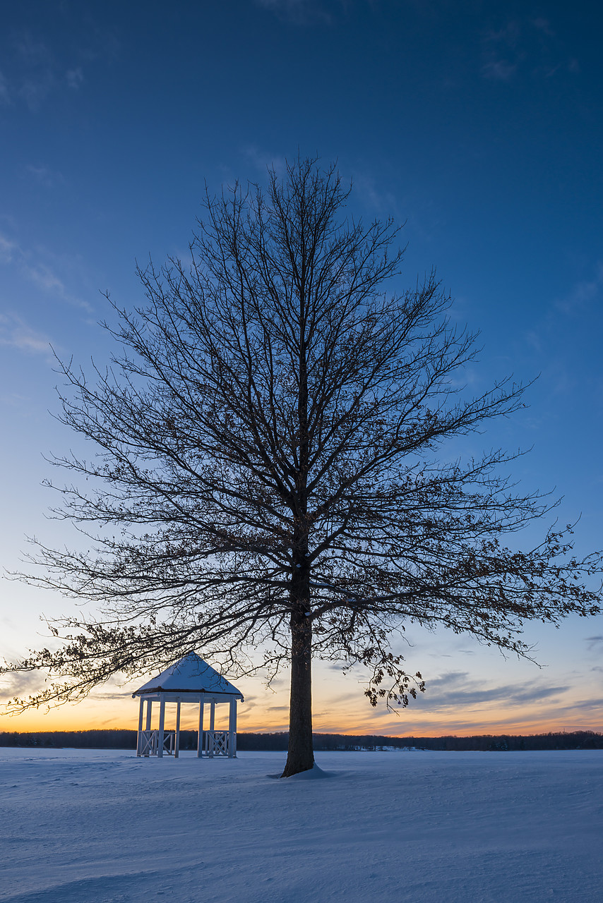 #140076-2 - Tree & Gazebo in Winter Twilight, Stony Creek Metropolitan Park, Shelby Township, Michigan, USA