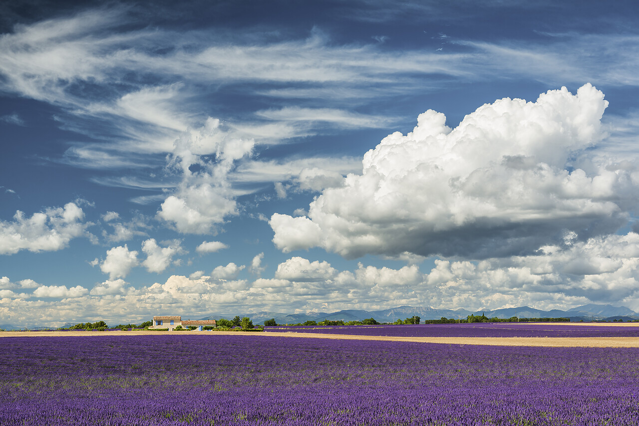 #140245-1 - Cloudscape Over Farmhouse & Lavender Fields, Provence, France