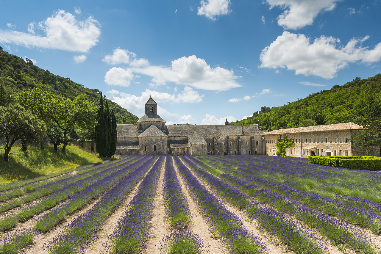 #140269-1 - Abbaye Notre-Dame de SÃ©nanque, Gordes, Provence, France