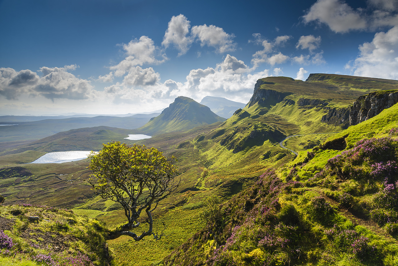 #140320-1 - The Quirang, Trotternish, Isle of Skye, Scotland