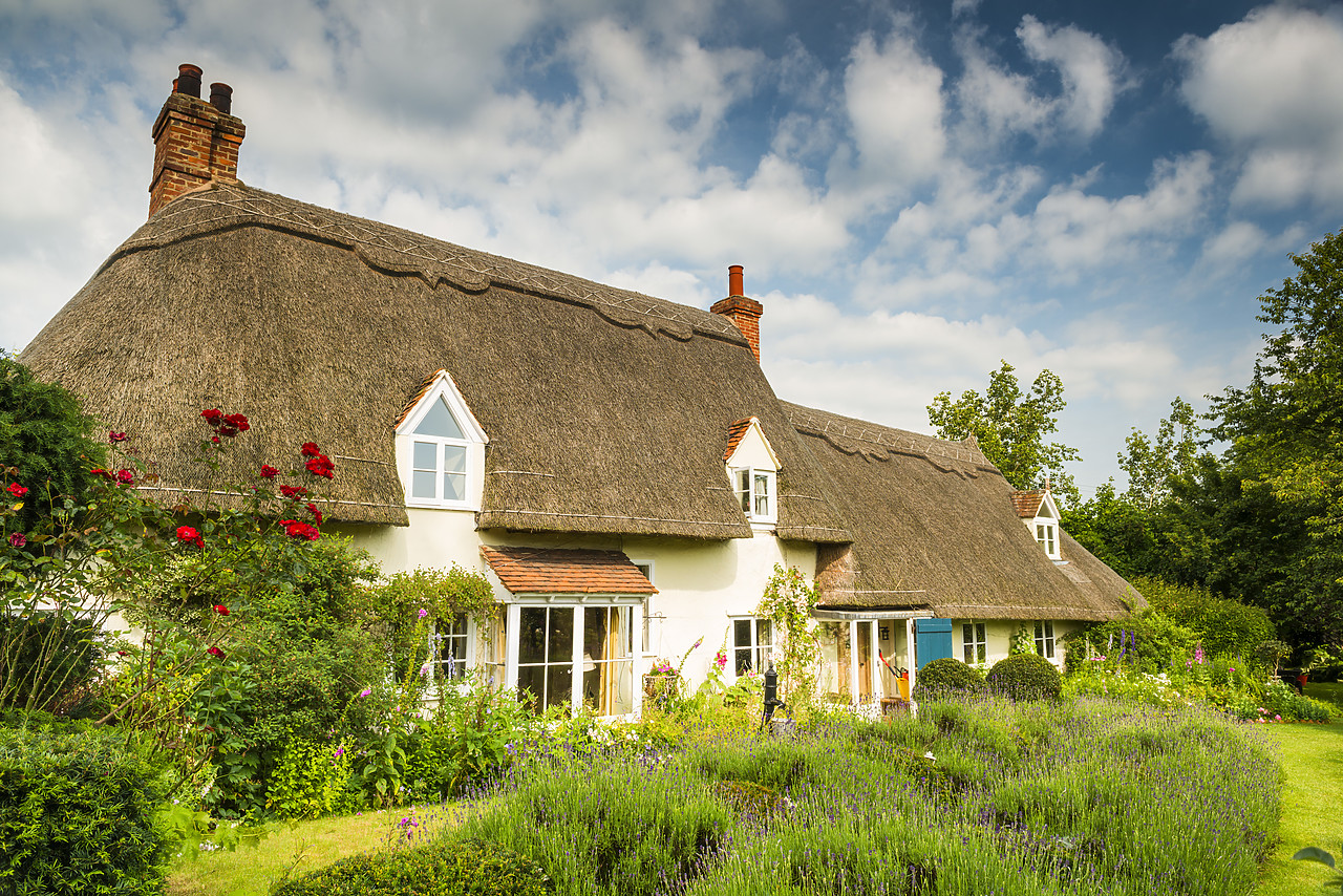 #140338-1 - Thatched Cottage & Garden, Hertfordshire, England
