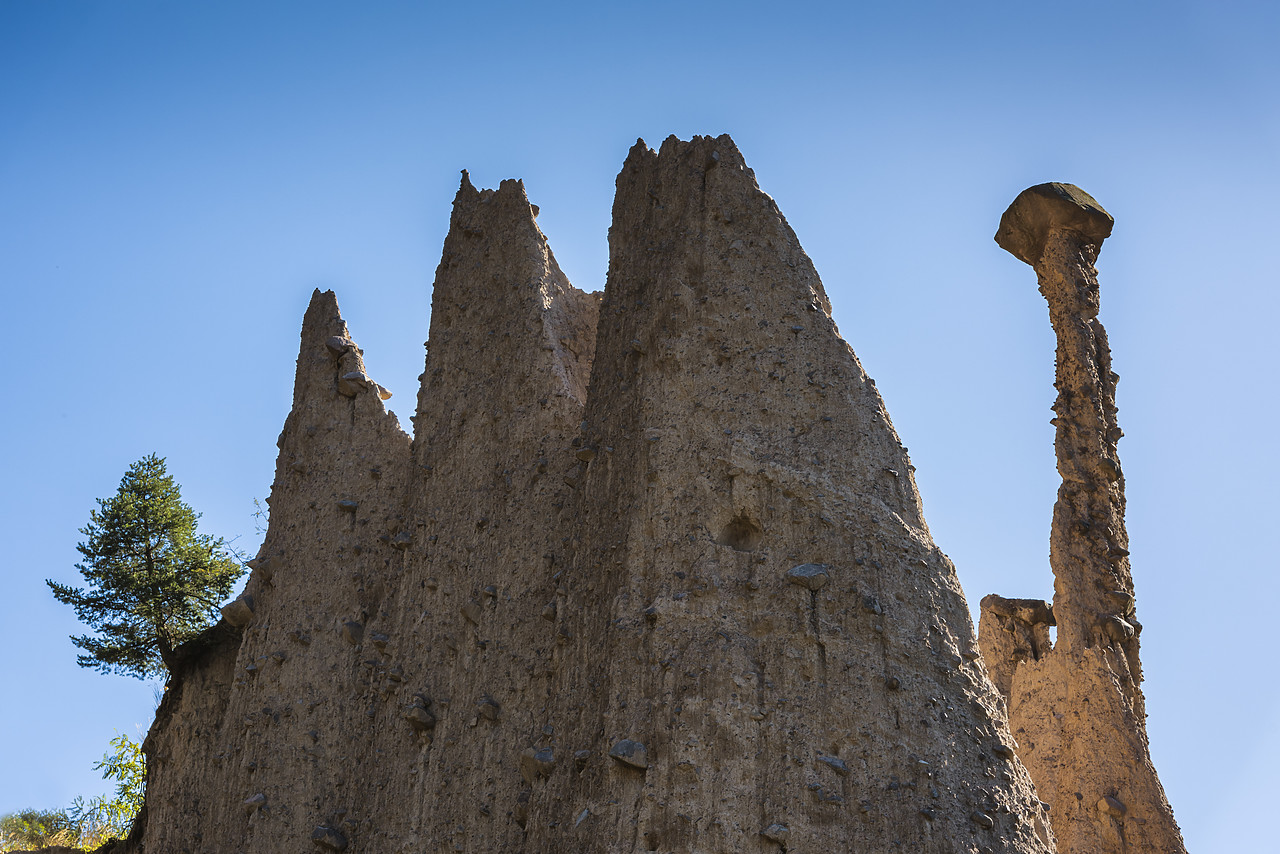 #140360-1 - Lone Pine Tree & Hoodoos, near Bolzano, Italy