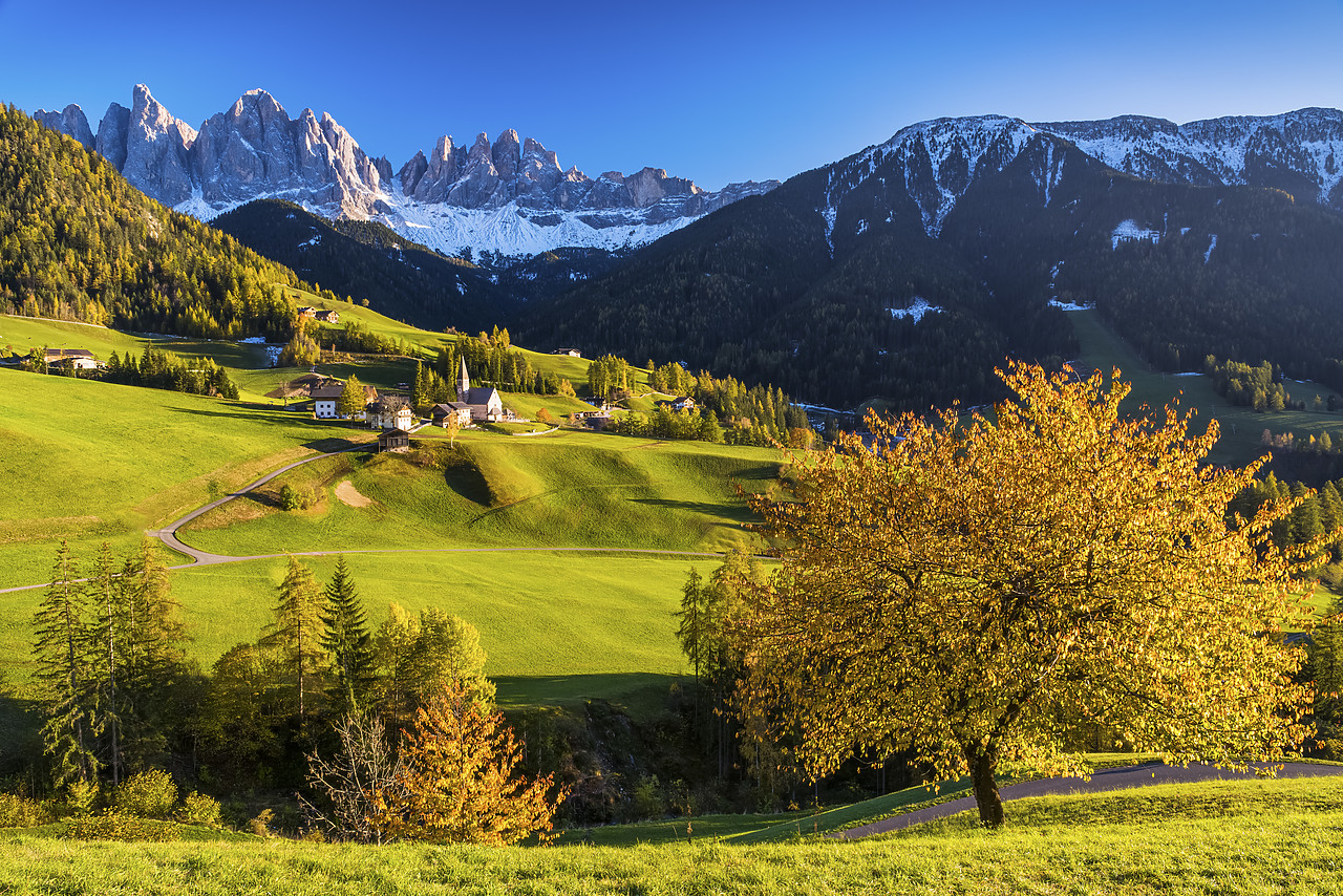 #140365-1 - St. Magdalena in Autumn, Val di Funes, Dolomites, South Tyrol, Italy