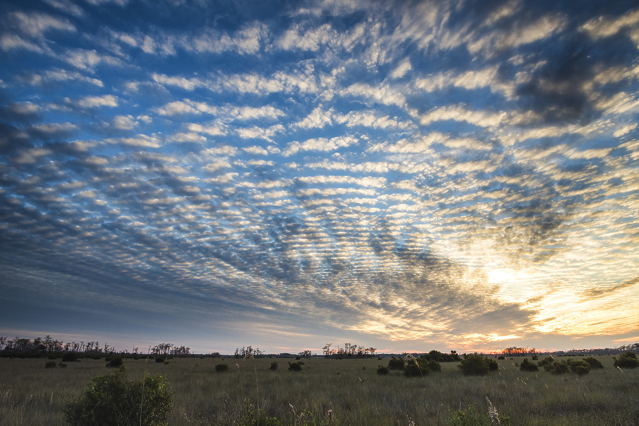 #140469-1 - Cloudscape over Everglades, Florida, USA