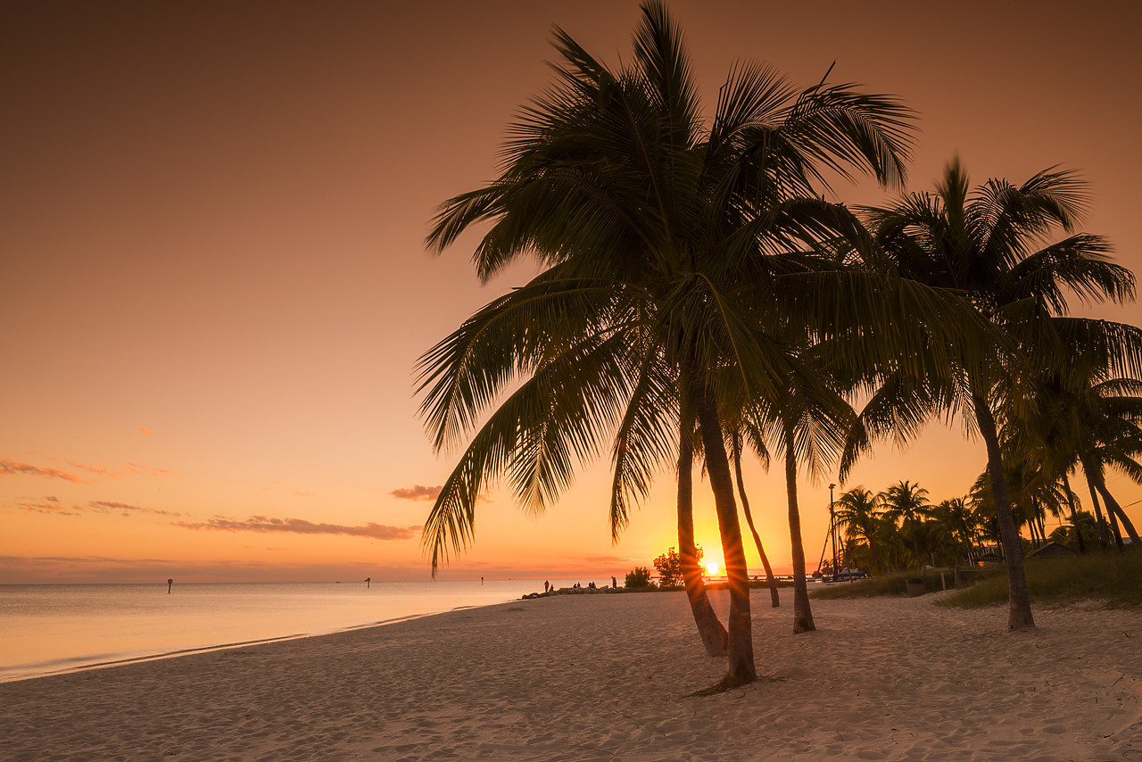 #140471-1 - Palm Trees at Sunset, Key West, Florida, USA