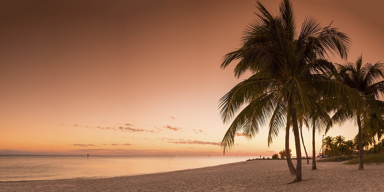 #140472-1 - Palm Trees at Sunset, Key West, Florida, USA