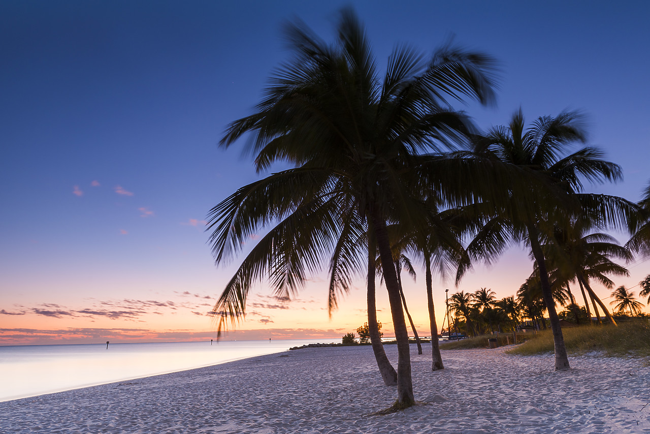 #140473-1 - Palm Trees at Sunset, Key West, Florida, USA
