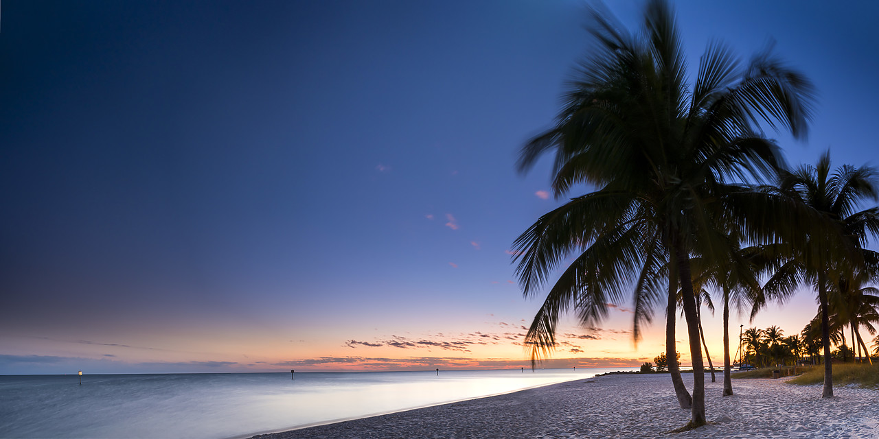 #140474-1 - Palm Trees at Sunset, Key West, Florida, USA