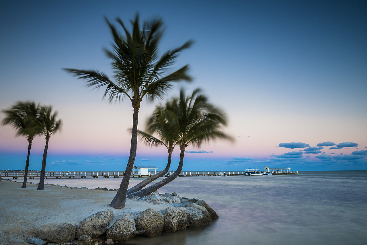 #140475-1 - Palm Trees & Pier at Dawn, Islamorada, Florida Keys, USA