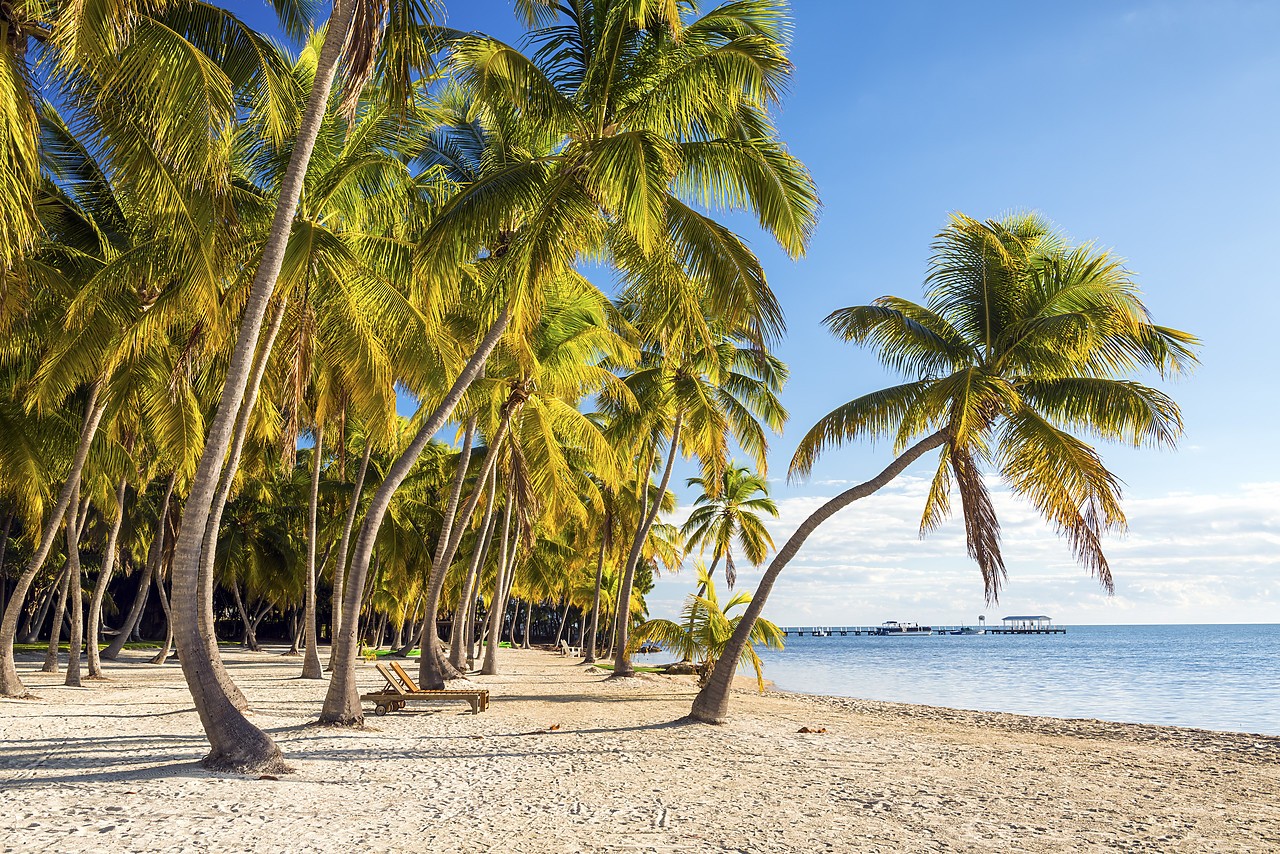 #140482-1 - Tropical Beach,   Islamorada, Florida Keys, USA