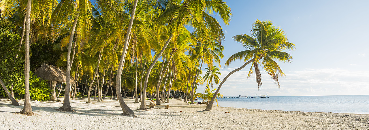 #140482-2 - Tropical Beach,   Islamorada, Florida Keys, USA