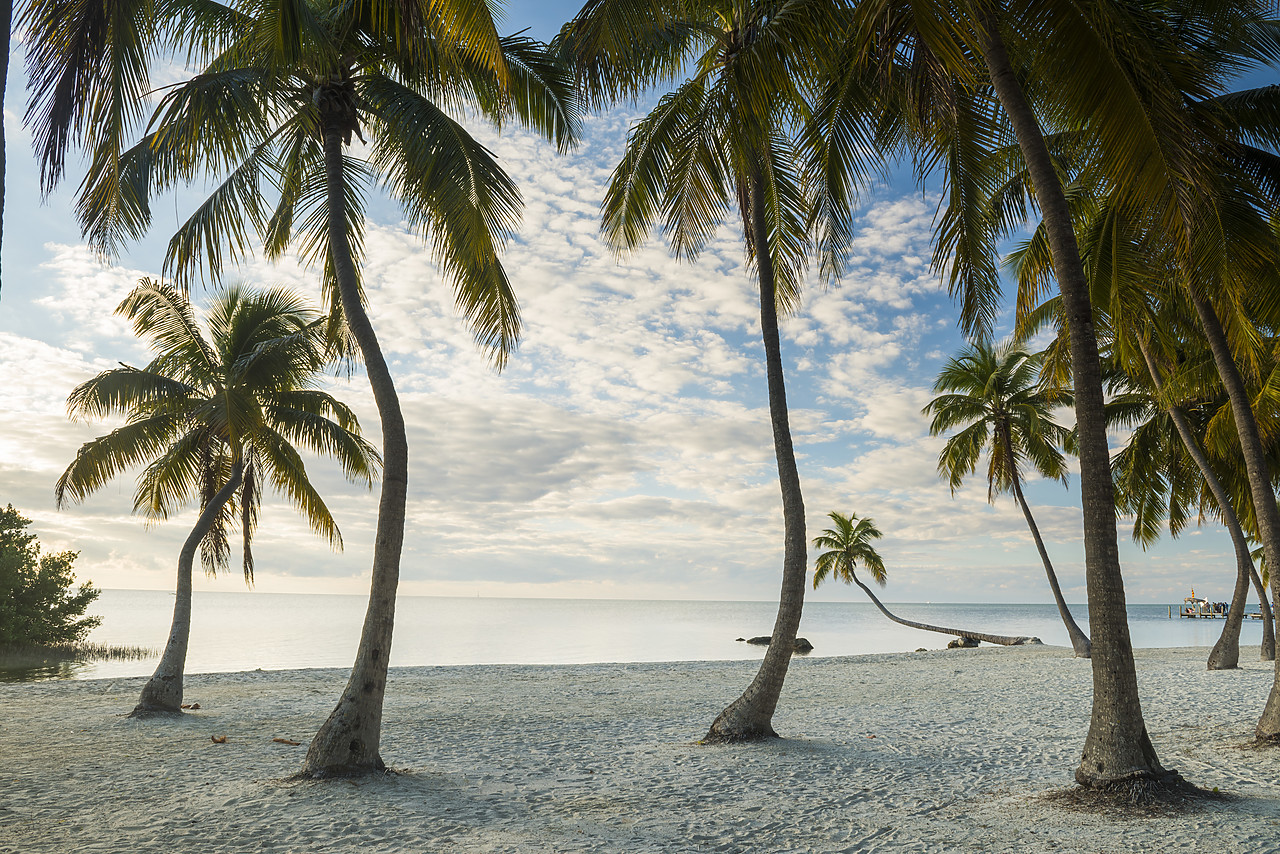#140484-1 - Tropical Beach,  Islamorada, Florida Keys, USA