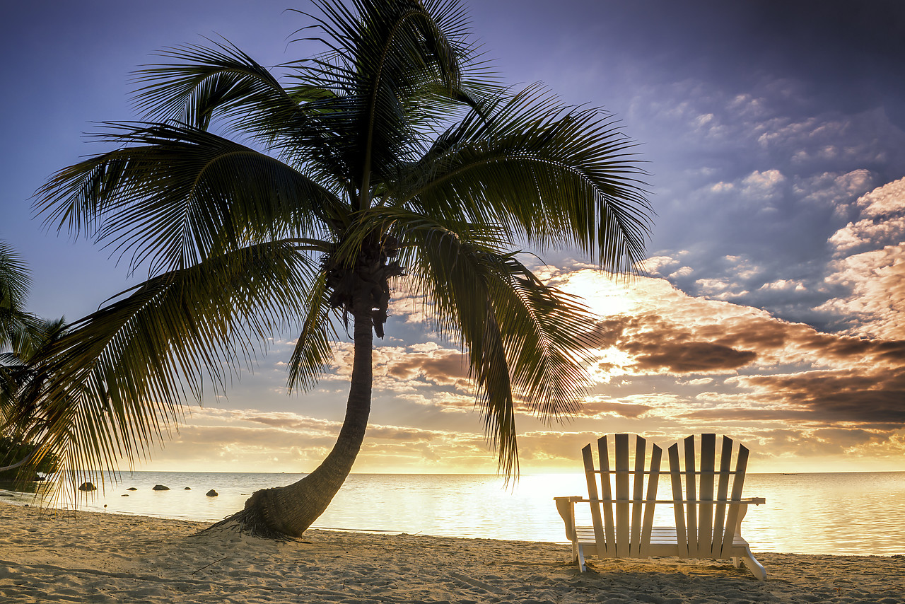 #140486-1 - Palm Tree & Love Seat,   Islamorada, Florida Keys, USA