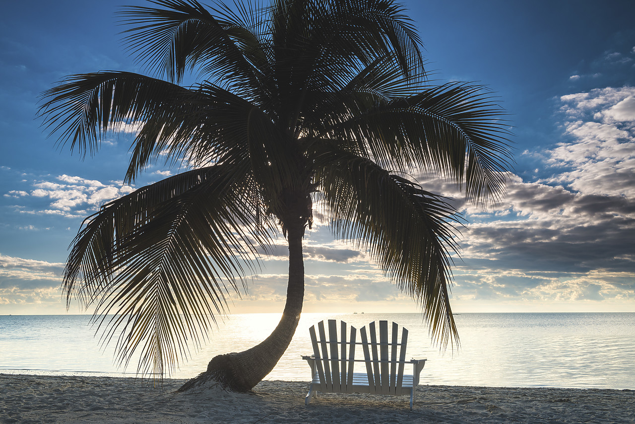 #140487-1 - Palm Tree & Love Seat,   Islamorada, Florida Keys, USA