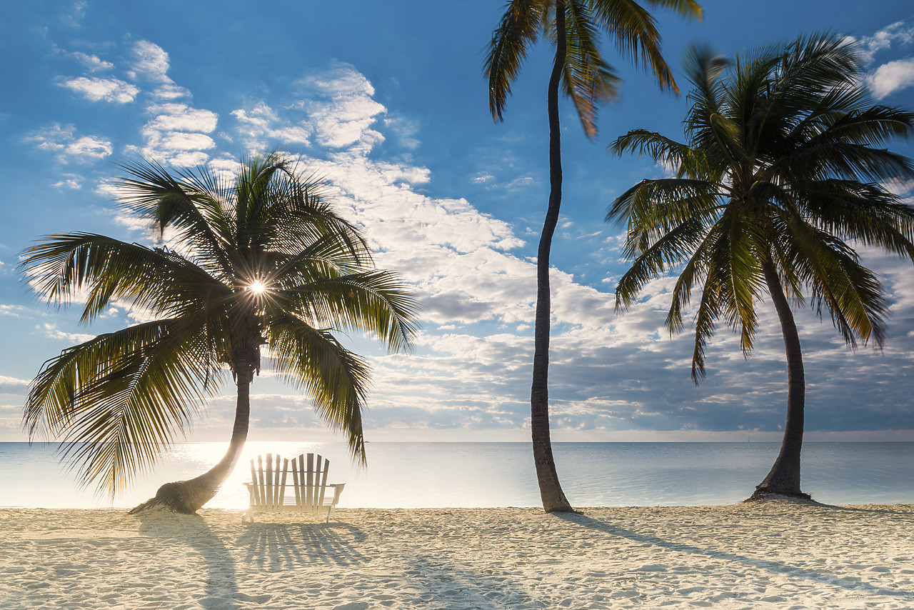 #140489-1 - Palm Trees & Love Seat,   Islamorada, Florida Keys, USA