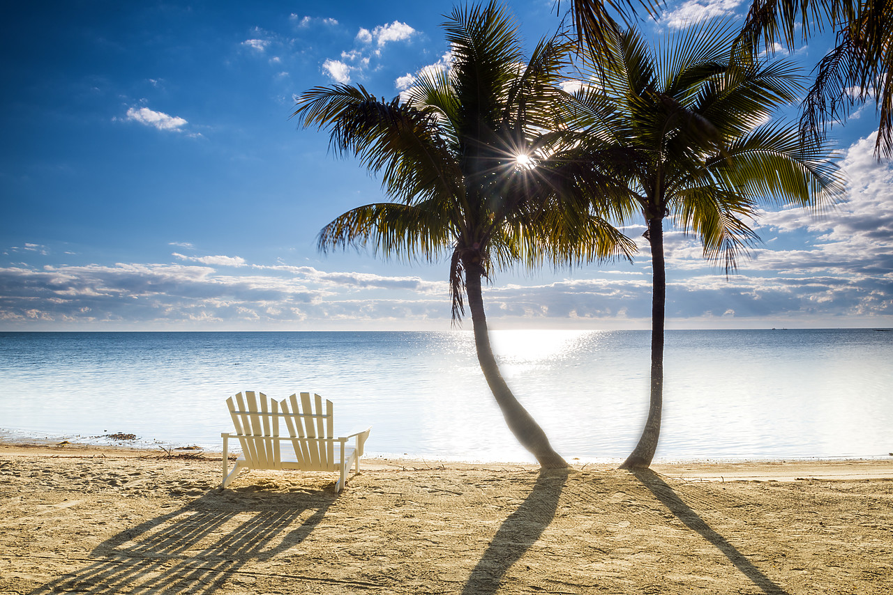 #140490-1 - Palm Trees & Love Seat,   Islamorada, Florida Keys, USA