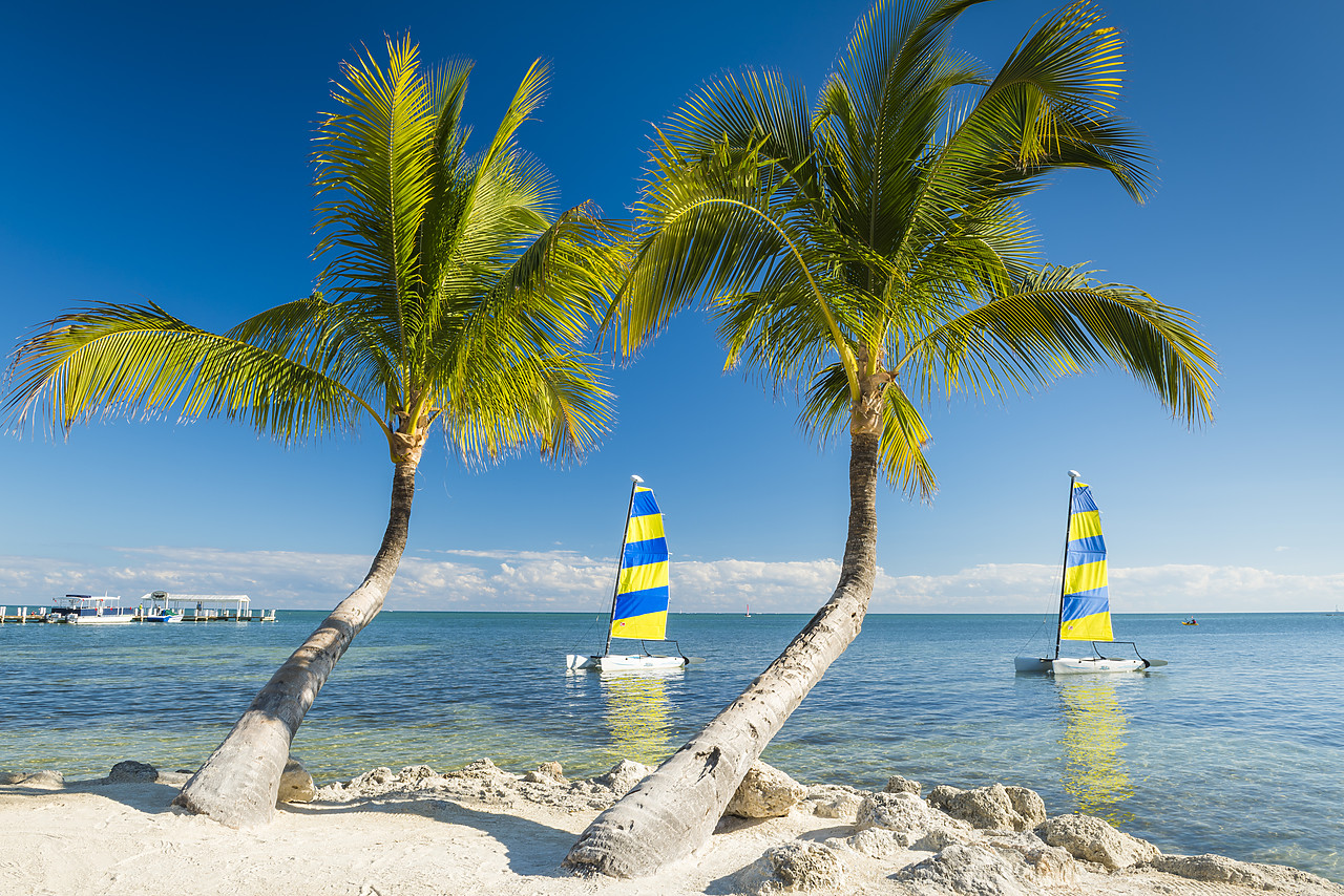 #140493-1 - Hobie Cats & Palm Trees,    Islamorada, Florida Keys, USA