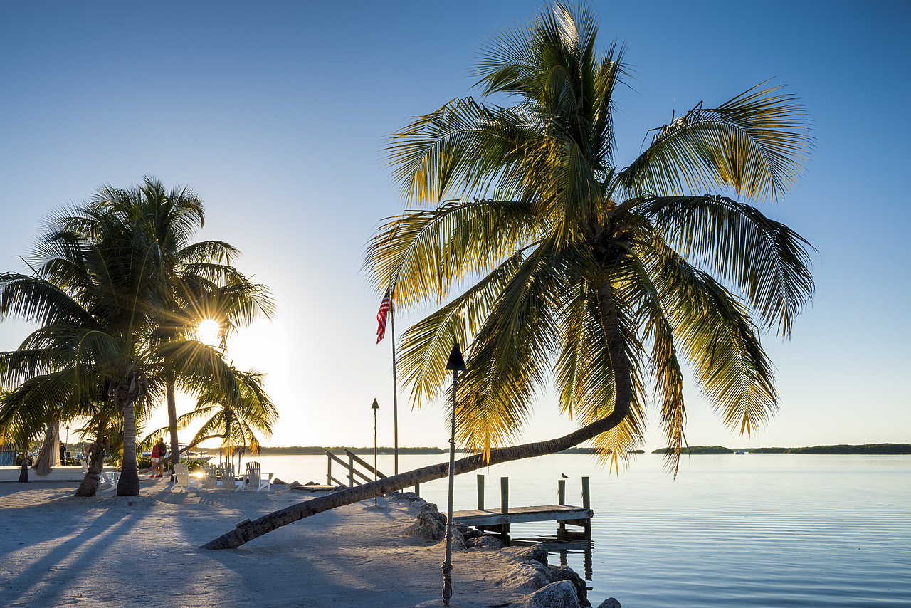 #140498-1 - Palm Trees & Jetty,  Islamorada, Florida Keys, USA
