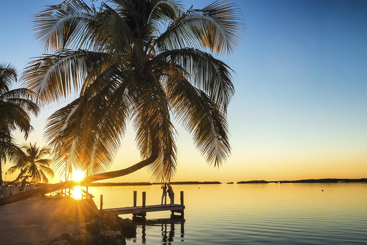#140500-1 - Palm Trees & Jetty at Sunset, Islamorada, Florida Keys, USA