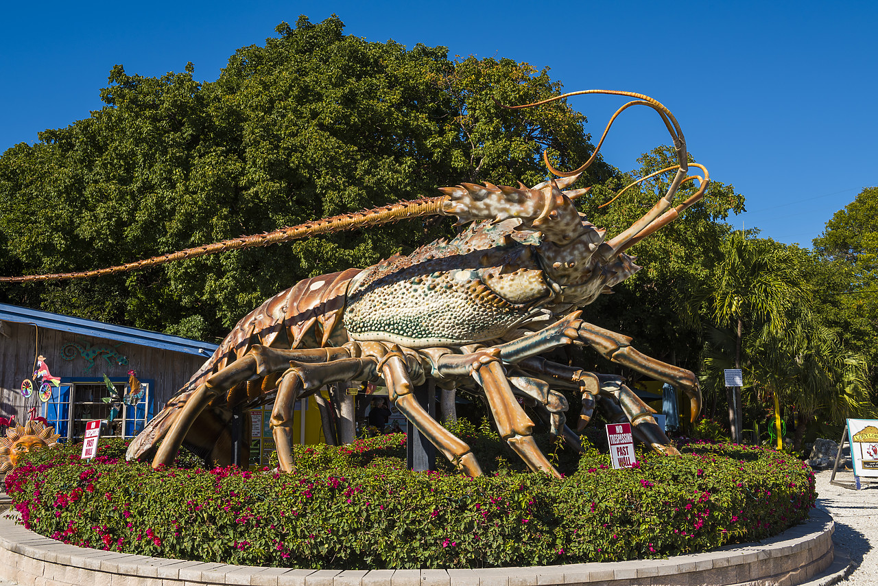 #140503-1 - Giant Lobster, Islamorada, Florida Keys, USA