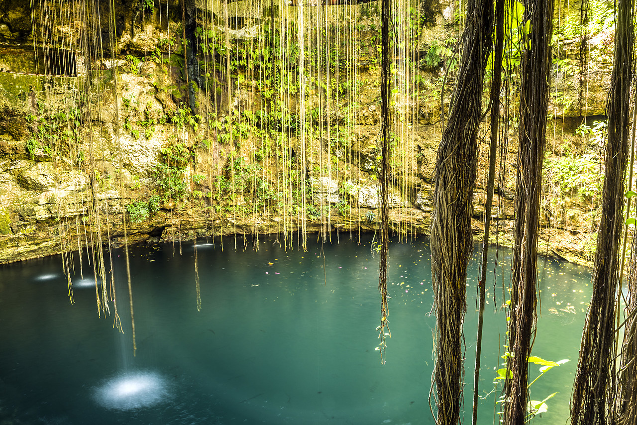 #150001-1 - Il Kil Cenote, Yucatan, Mexico