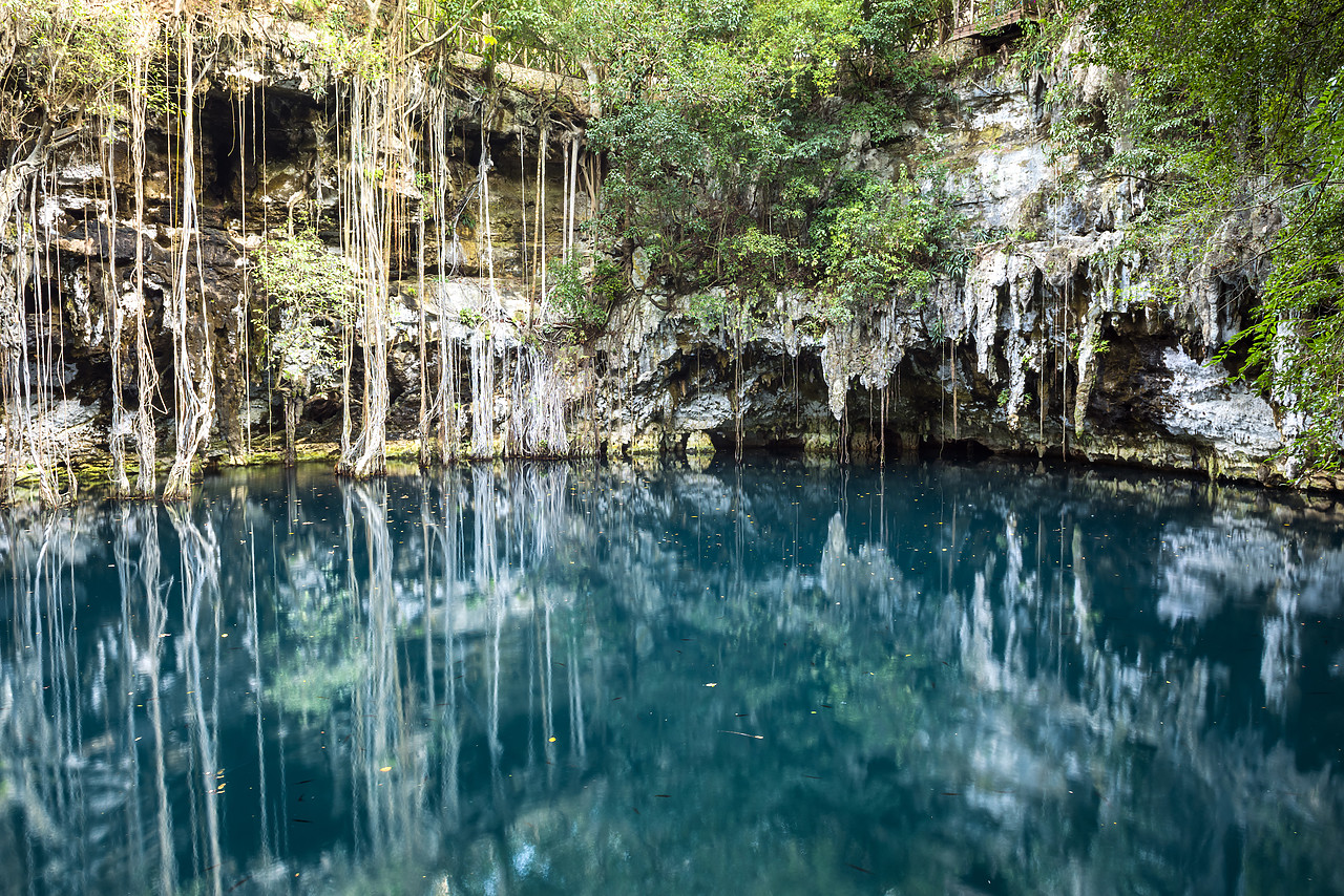 #150003-1 - Yokdzonot Cenote, Yucantan Peninsula, Mexico