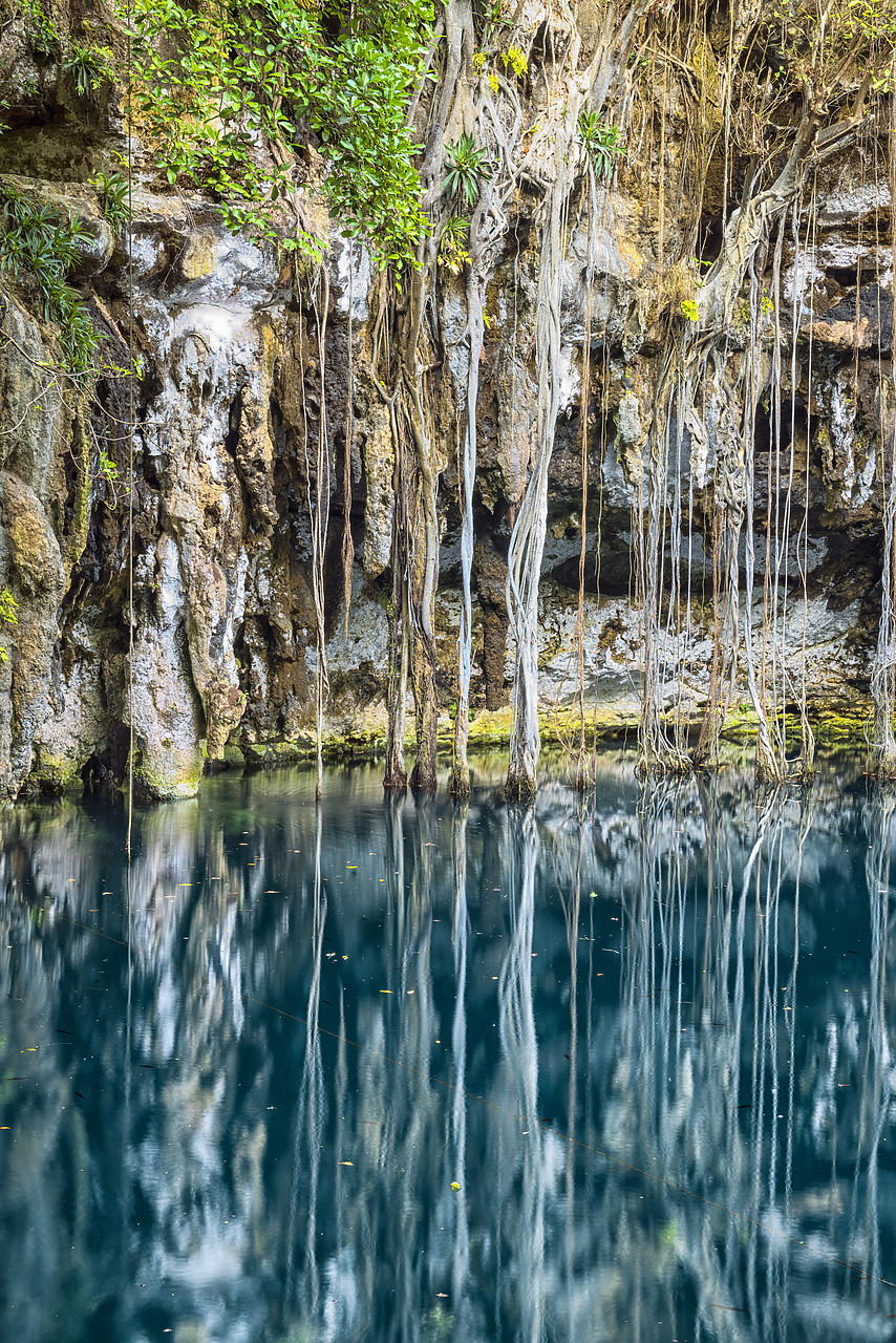 #150003-2 - Yokdzonot Cenote, Yucantan Peninsula, Mexico