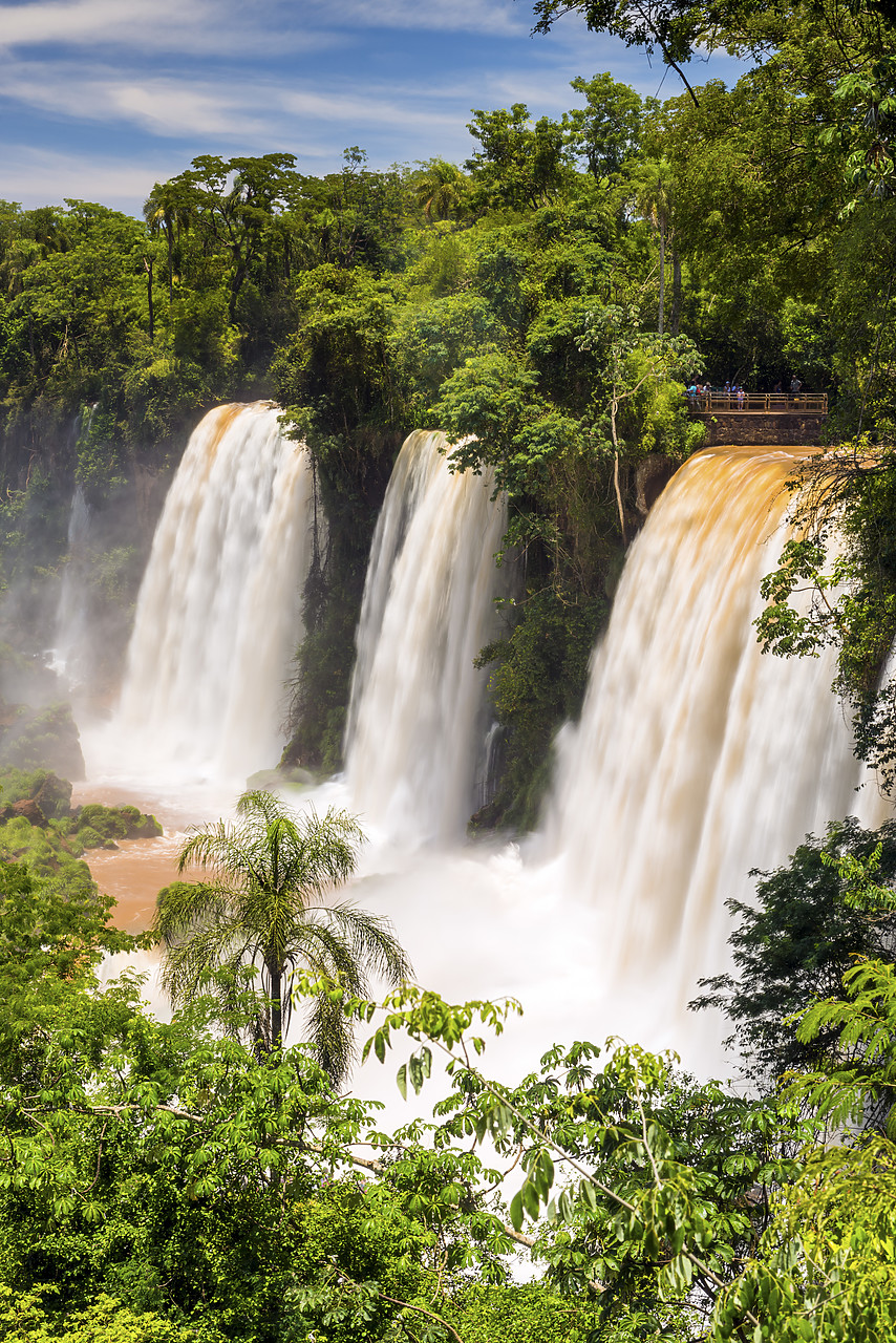 #150049-1 - Iguazu Falls, Argentina, South America