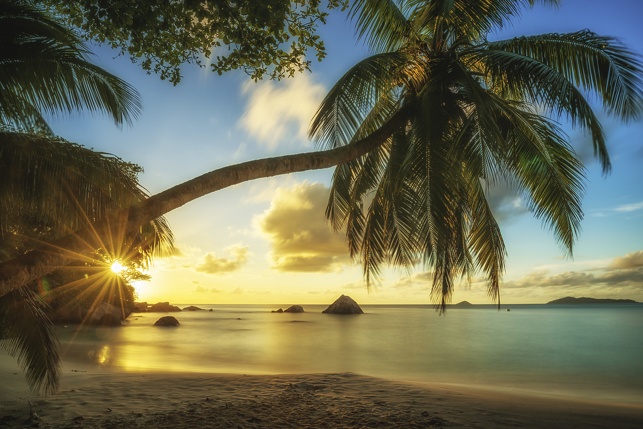 #150221-1 - Palm Tree at Sunset, Anse Lazio Beach, Praslin, Seychelles