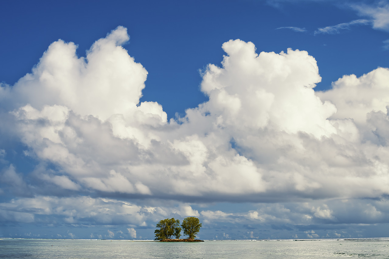 #150237-1 - Cloud Formation over Two Trees on Island, La Digue, Seychelles