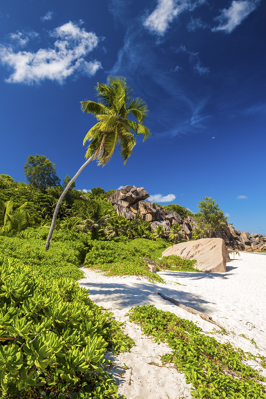 #150248-2 - Grand Anse Beach, La Digue, Seychelles