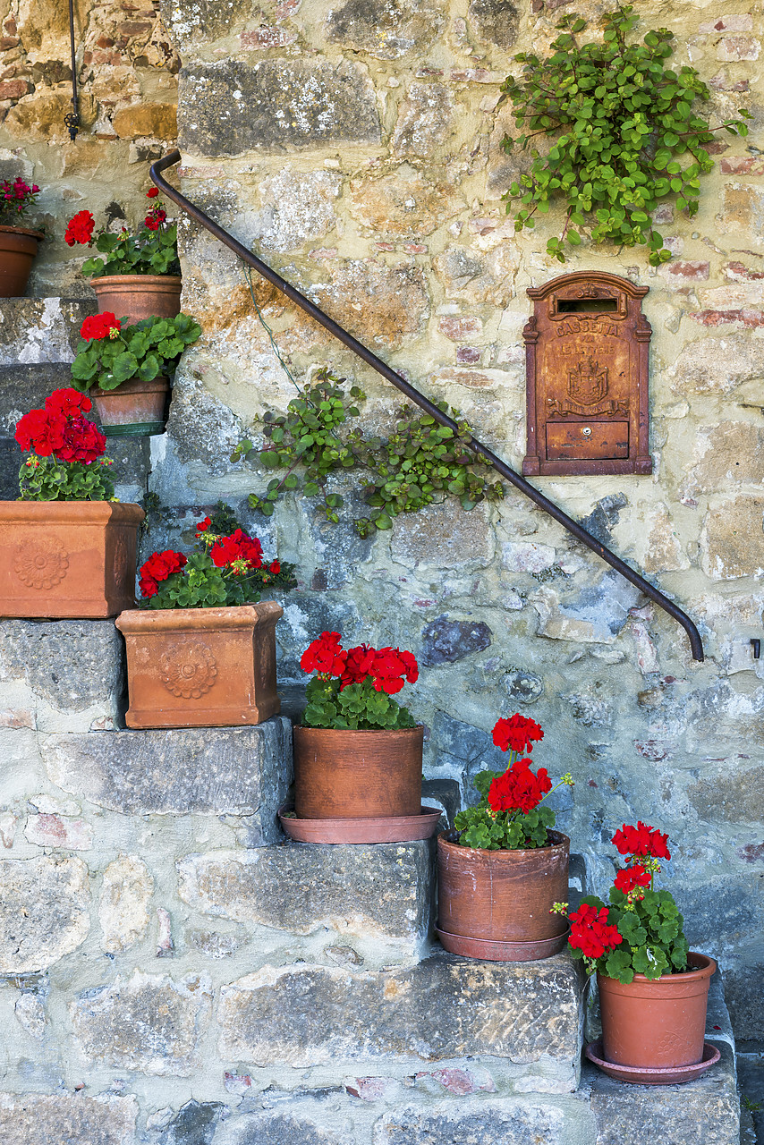 #150256-1 - Staircase of Geraniums, Tuscany, Italy