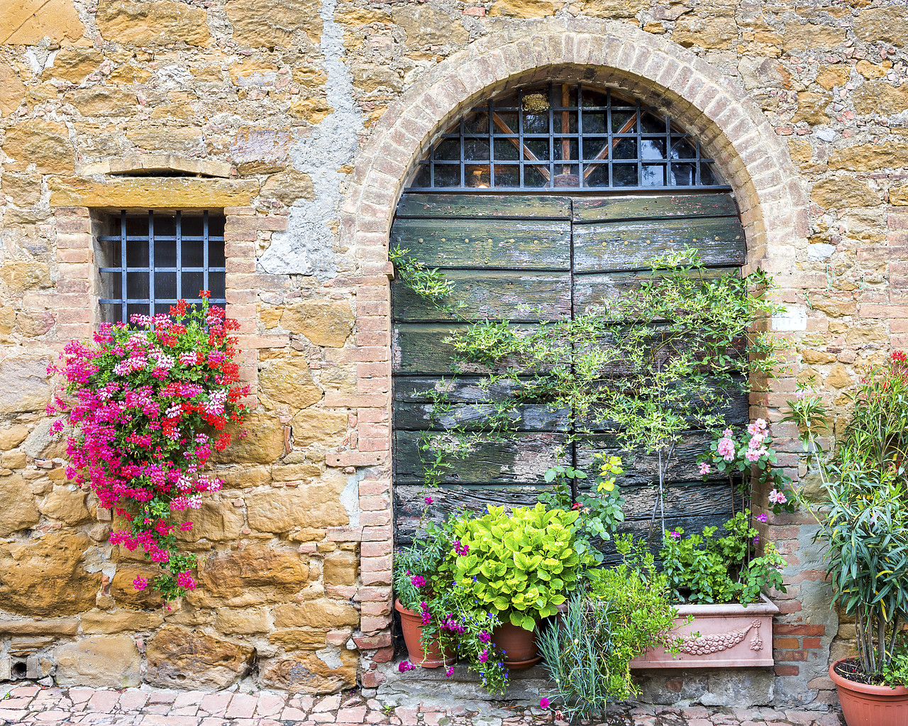 #150263-1 - Flowers & Green Door, Monitisi, Tuscany, Italy