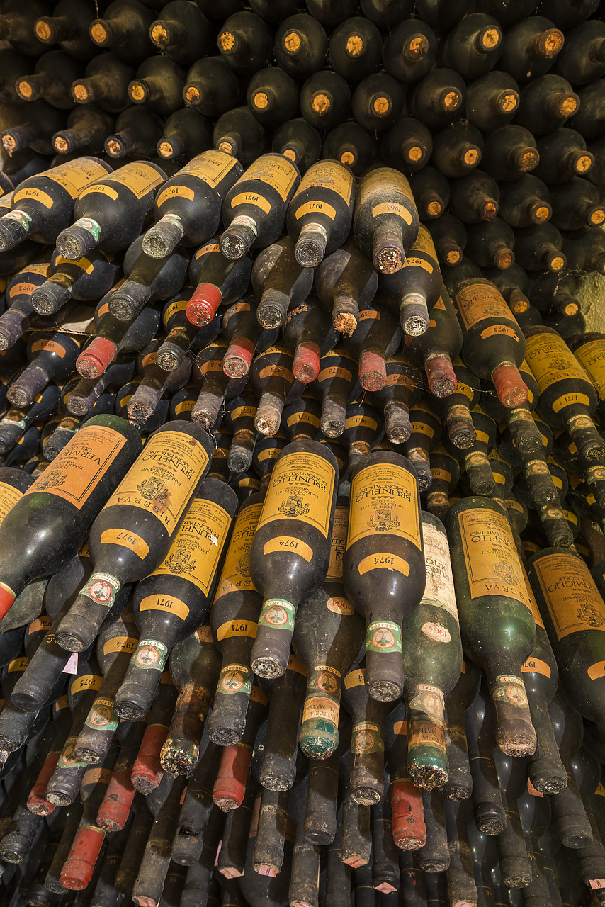 #150264-1 - Old Wine Bottles at Costanti Winery, Montalcino, Tuscany, Italy