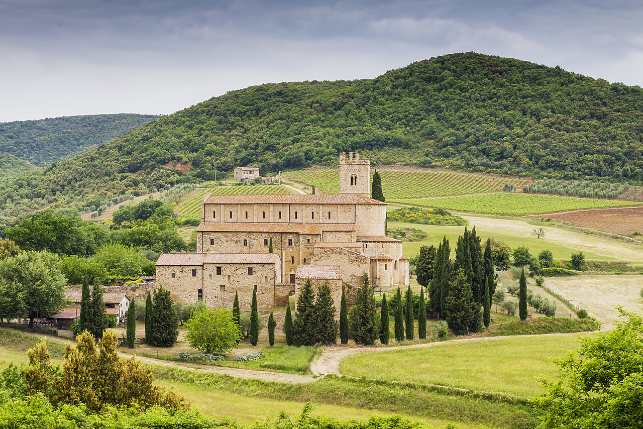 #150268-1 - Abbey of Sant'Antimo, near Montalcino, Tuscany, Italy